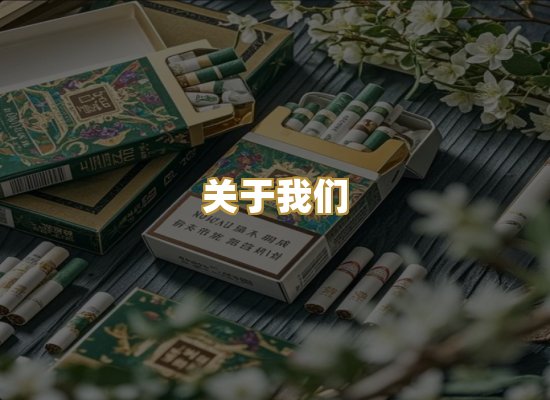 关于我们